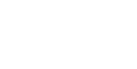 Avid White Logo